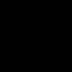 Meet your Posher, Ivanna